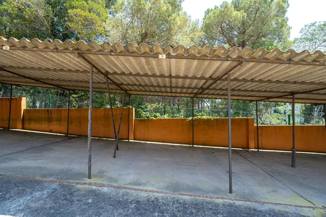 Apartment Hauzify I Apartament Joy Llafranc